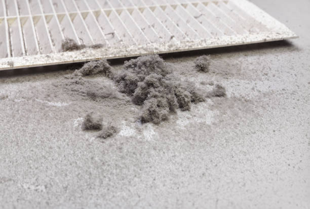 Best Air Duct Cleaning Company Near Me  in Waveland, MS