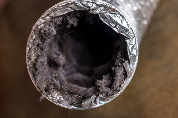 Best HVAC Duct Inspection Services  in Waveland, MS