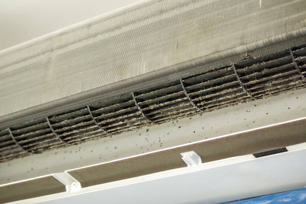 Best HVAC System Cleaning  in Waveland, MS